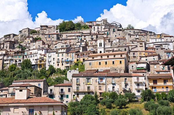 La Certosa di Padula e le bellezze del Vallo di Diano, 03 giorni e 02 notti, da € 200,00 - immagine 2