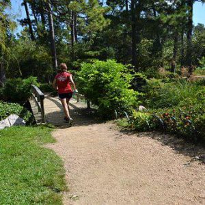 Il Parco Nazionale del Pollino 03 giorni