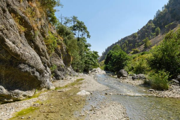 Il Parco Nazionale del Pollino 03 giorni e 02 notti, una full-immersion nella natura più incontaminata, a soli € 170,00 a persona - immagine 14