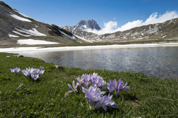 Nel Parco Nazionale del Gran Sasso e dei Monti della Laga, 04 giorni e 03 notti, in pensione completa