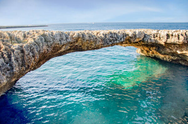 Polignano a mare (BA) con il giro turistico in calessino - immagine 2