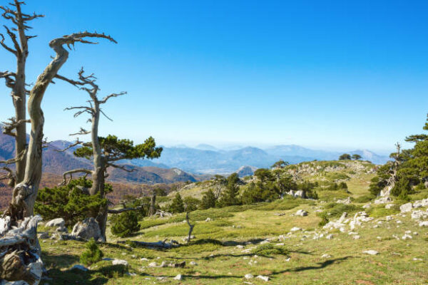 Il Parco Nazionale del Pollino 03 giorni e 02 notti, una full-immersion nella natura più incontaminata, a soli € 170,00 a persona - immagine 6
