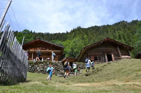 San Martino di Castrozza (TN), 06 giorni e 05 notti, in mezza pensione, tra escursioni, fattorie didattiche e Tour del gusto - immagine 8
