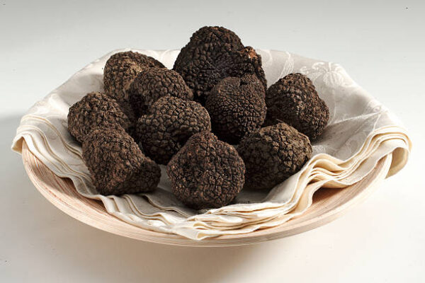Alla ricerca dei tartufi in Toscana con pranzo - immagine 2