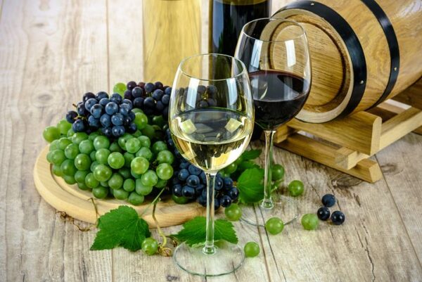 Toscana, visita alla Cantina di Tenuta Podernovo con degustazione - immagine 5