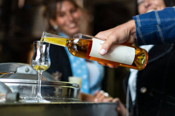 A Trento con la visita all'Azienda Agricola Foradori e la degustazione di 03 vini: la biodinamica nei vigneti delle Dolomiti IGT Teroldego Rotaliano. - immagine 4