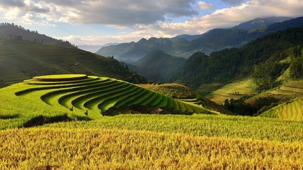 Tour del Vietnam, 9 giorni e 8 notti, da € 3010,00 a persona - immagine 2