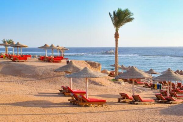 Marsa Alam, pacchetto Volo + Trattamento All Inclusive, da € 1200,00 a persona - immagine 4