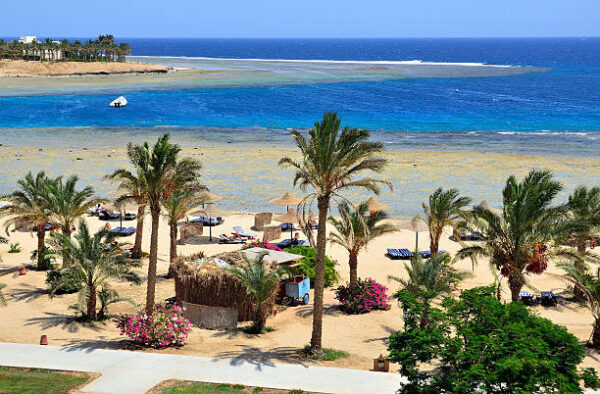 Marsa Alam, pacchetto Volo + Trattamento All Inclusive, da € 1200,00 a persona - immagine 5