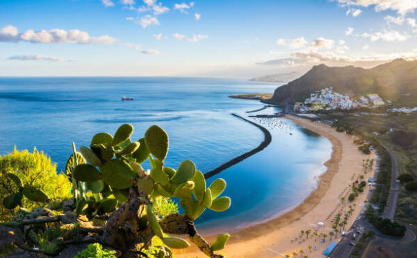 Vacanze a Tenerife, pacchetto Volo + Pensione completa, da € 1000,00 a persona - immagine 2