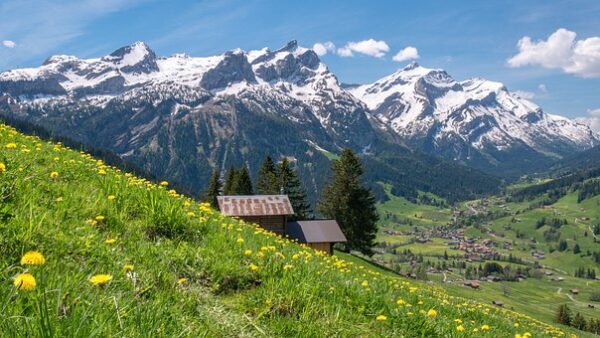Tour Lombardia e Svizzera, 05 giorni e 04 notti, con la meravigliosa esperienza del Trenino rosso del Bernina, da € 635,00 a persona tutto incluso - immagine 5
